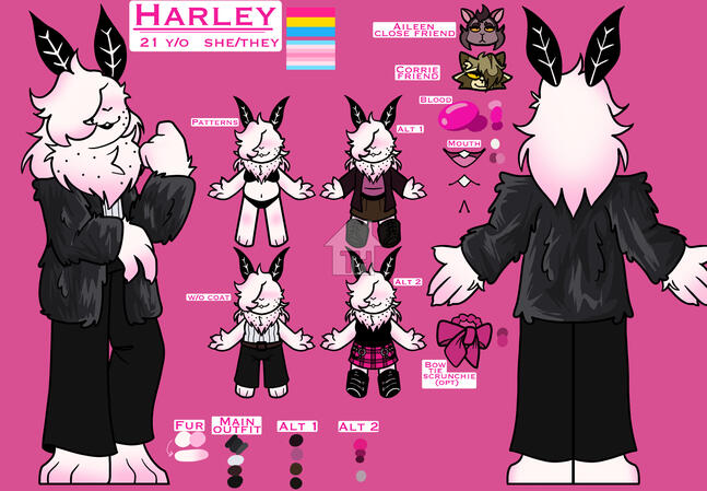 22 Jan 2026 - Raffle prize